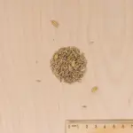 Pour nos animaux - Prairie Animaux - Chiens & Chats - MEDIA_3D